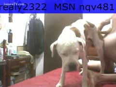 In this brutal sex scene, a little and attractive college trollop exposes herself for a play with a K9.